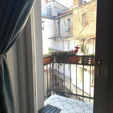 Dragonfly * بلغراد